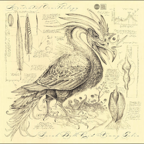 Sarah Belle & Golia Reid - Accidental Ornithology ((CD))