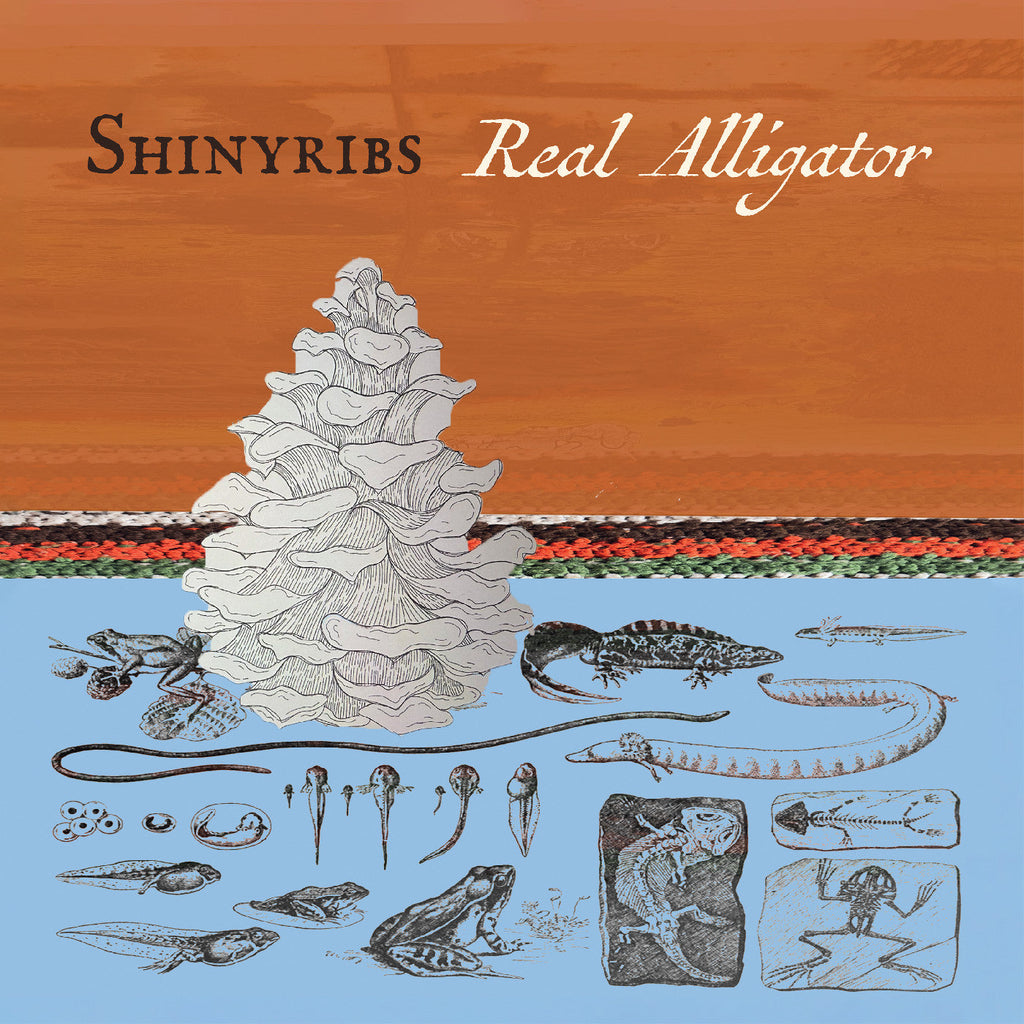 Shinyribs - Real Alligator ((CD))