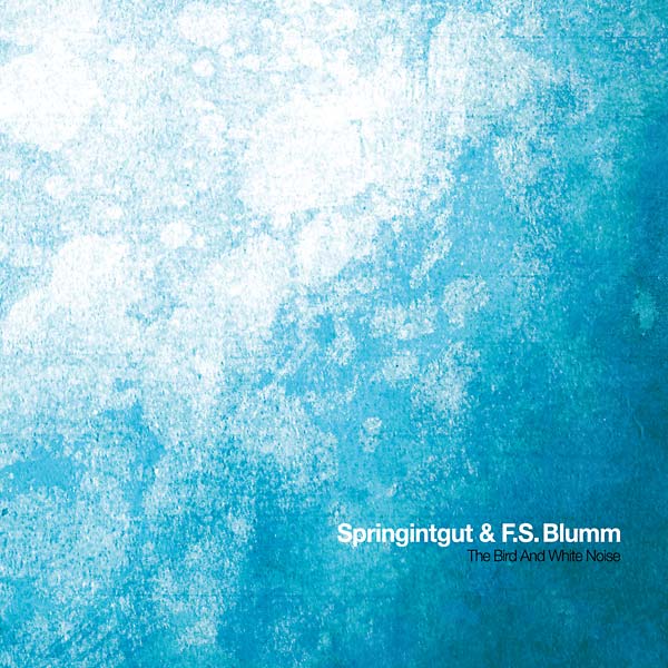 SPRINGINTGUT & F.S. BLUMM - The Bird and White Noise ((CD))