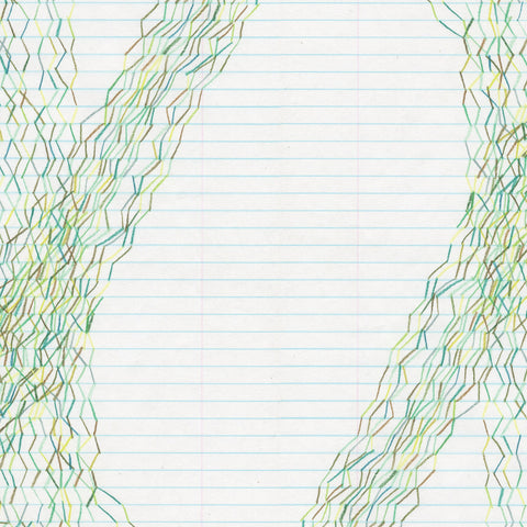 STEVE RODEN - Forms Of Paper ((Vinyl))