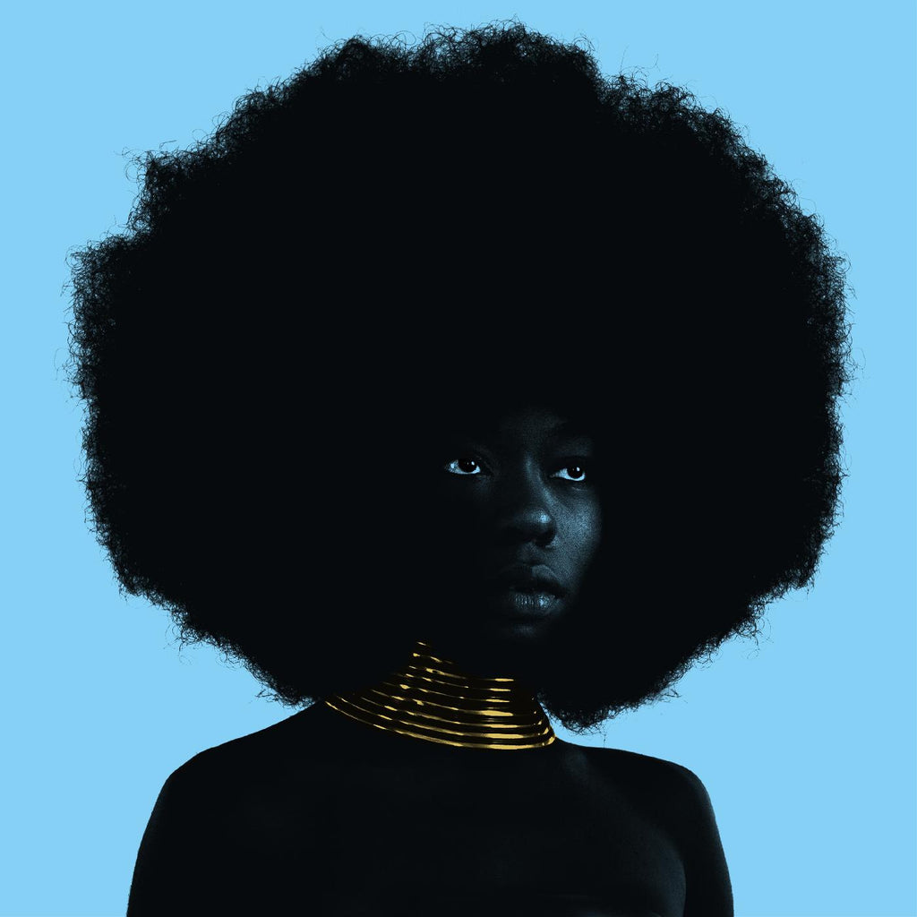 Sudan Archives - Sink ((Vinyl))