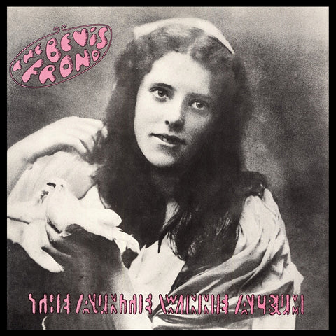 The Bevis Frond - The Auntie Winnie Album ((CD))