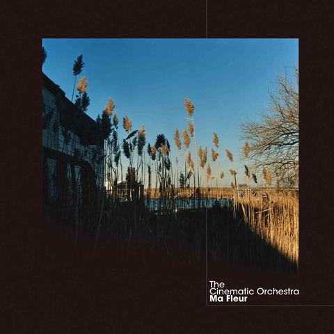 The Cinematic Orchestra - Ma Fleur ((CD))