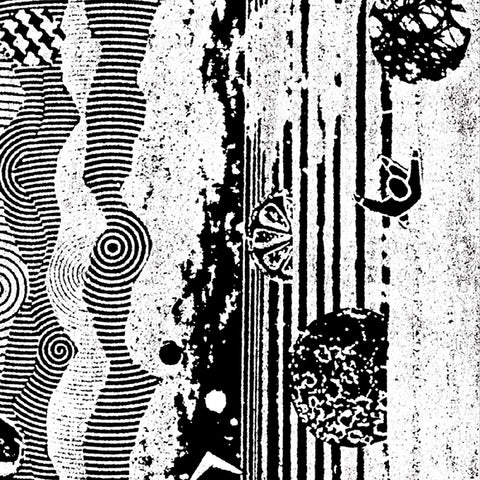 The Nightcrawlers - The Biophonic Boombox Recordings ((Vinyl))