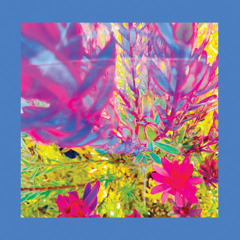 The Reds Pinks & Purples - The Past Is A Garden I Never Fed ((CD))