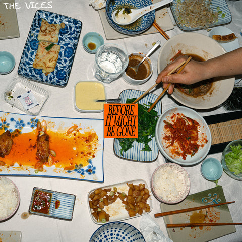 The Vices - Before It Might Be Gone ((CD))