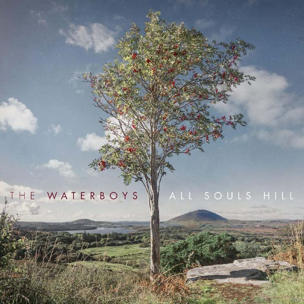 The Waterboys - All Souls Hill ((Vinyl))