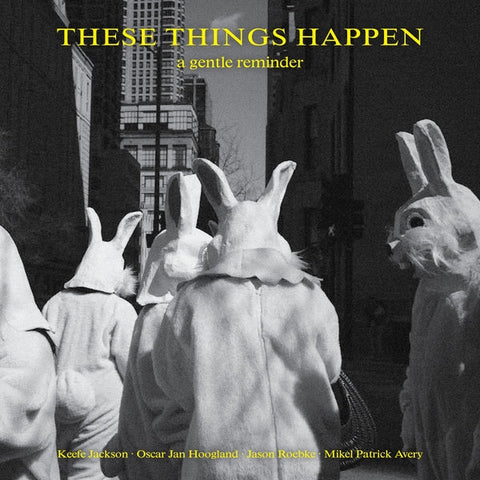 These Things Happen - A Gentle Reminder [LP] ((Vinyl))