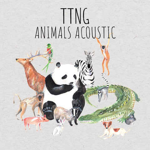 Ttng - Animals Acoustic ((CD))