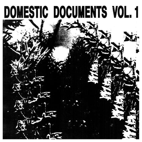 Va - Domestic Documents Vol. 1: Compiled by Butter Sessions and Noise In My Head ((Vinyl))