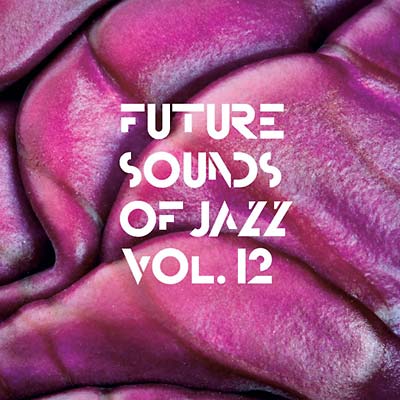 Va - Future Sounds Of Jazz Vol. 12 ((CD))