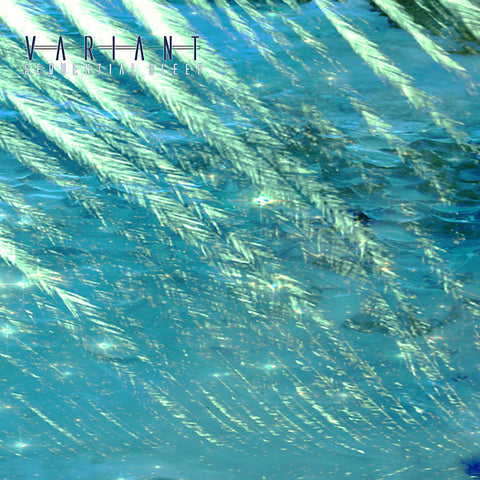 VARIANT - Sequential Sleep [ver1.2] ((CD))