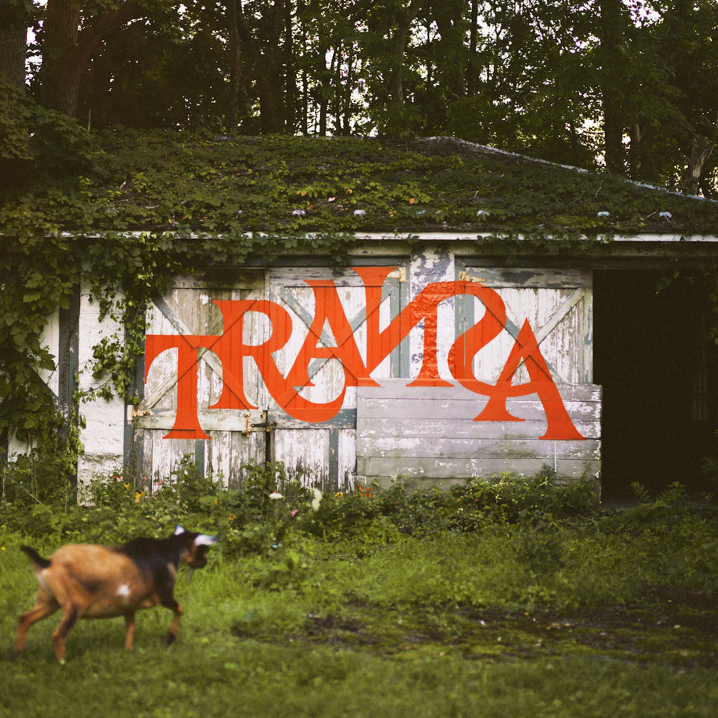 Various Artists - Transa (Deluxe Edition) ((Vinyl))
