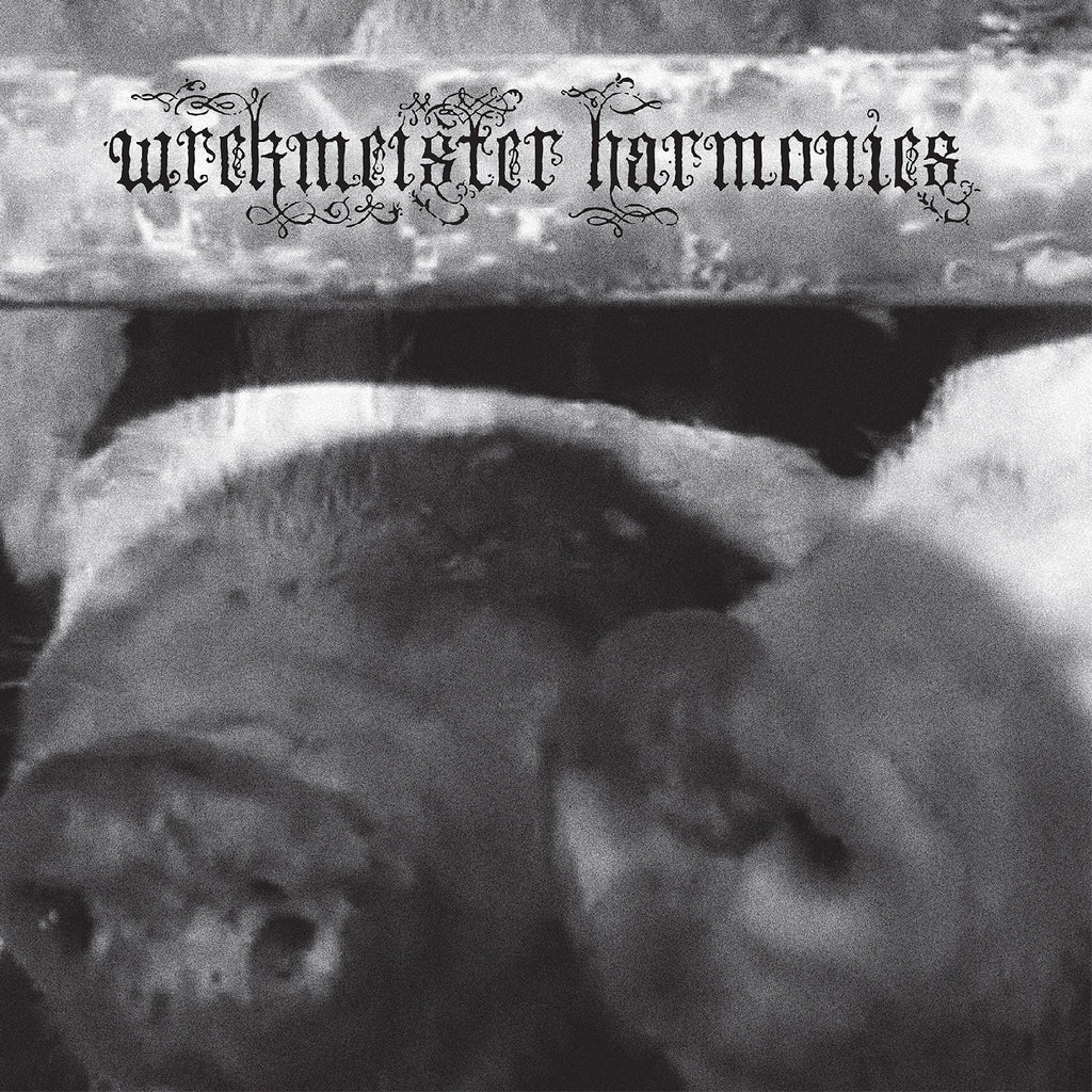 Wrekmeister Harmonies - Flowers In The Spring (Opaque Pink Vinyl) ((Vinyl))