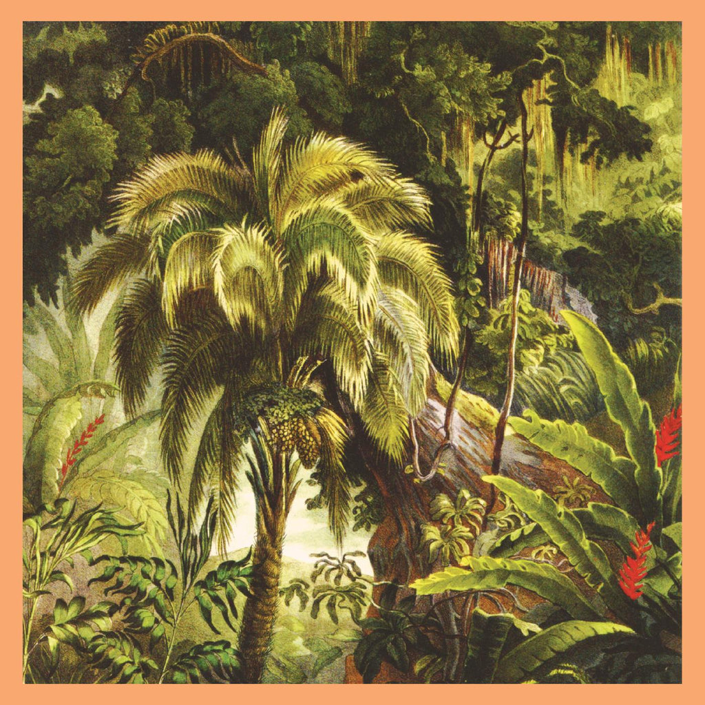 Xiu Xiu - La Foret [Jade Eco-Mix Vinyl] ((Vinyl))