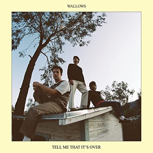 Wallows - Tell Me That It's Over ((Vinyl))