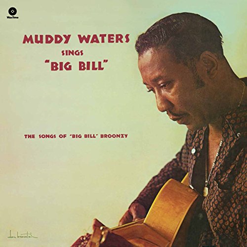 Waters,Muddy - Sings Big Bill Broonzy ((Vinyl))